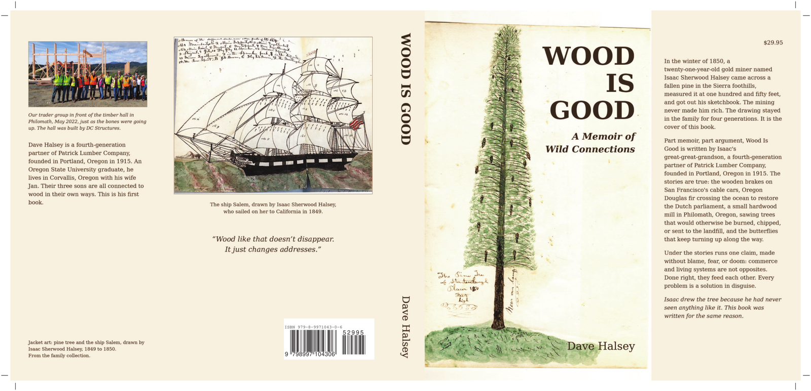 Slip cover of Wood Is Good by Dave Halsey