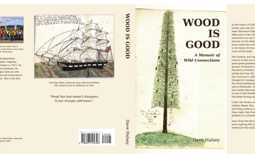 Slip cover of Wood Is Good by Dave Halsey